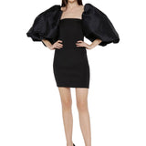 Exaggerated Taffeta Sleeves