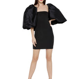 Exaggerated Taffeta Sleeves