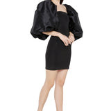 Exaggerated Taffeta Sleeves